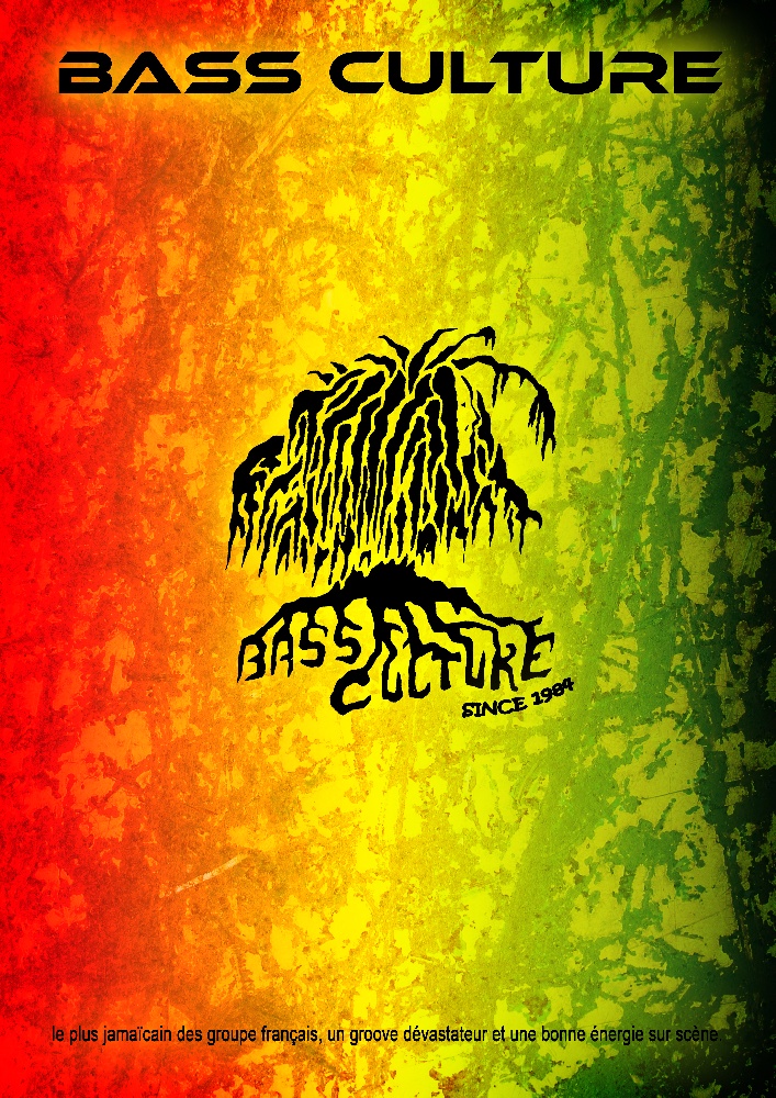 Basse Culture : Groupe Reggae World Dub Ile-de-France - Yvelines (78)