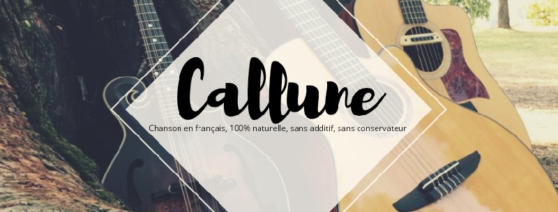Callune : Callune au Cheylard | Info-Groupe