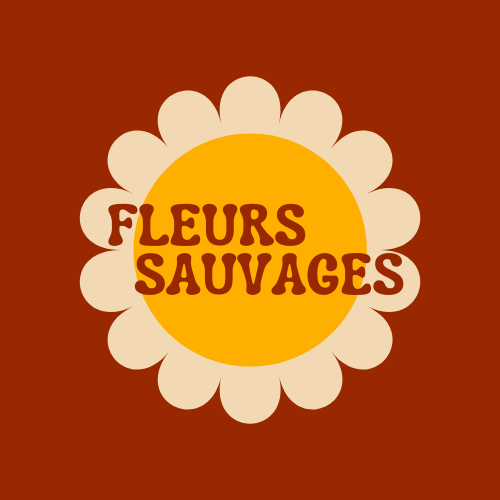 Fleurs Sauvages : Groupe Folk Rock Pop Midi-Pyrénées - Aveyron (12)